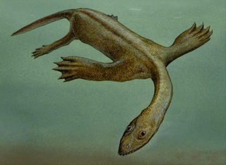 Illustration for article titled Otters Oddities
